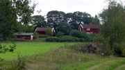Motiv fra Ødegården